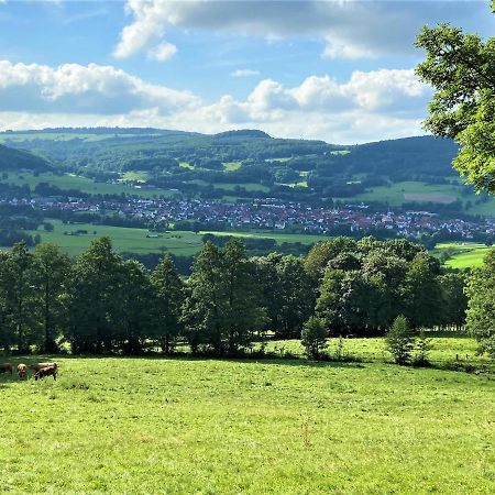 Ferienwohnung Natur-Pur Ehrenberg  Экстерьер фото